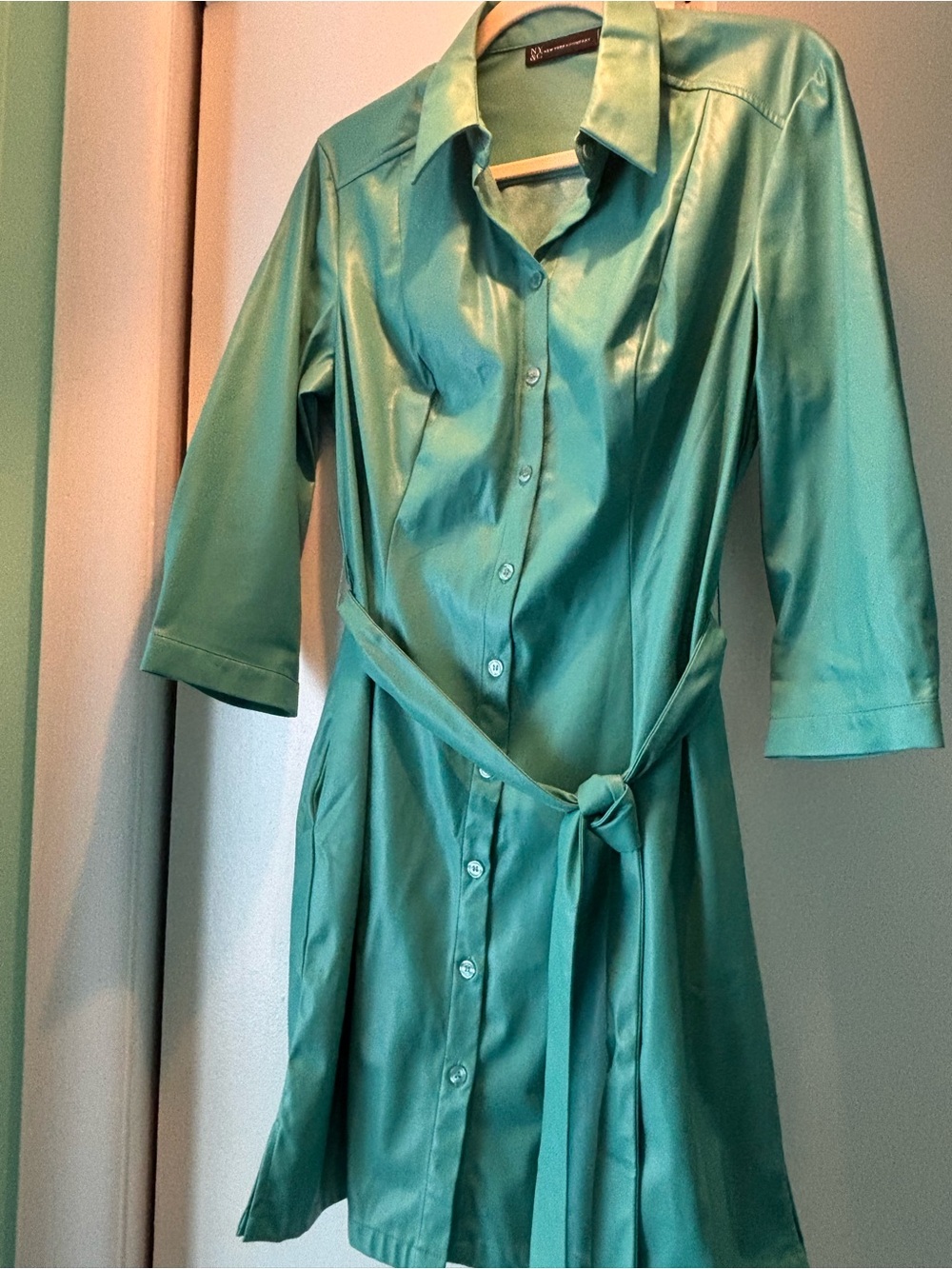 Faux  leather Button-Front Green Shirt Dress with Tie Belt